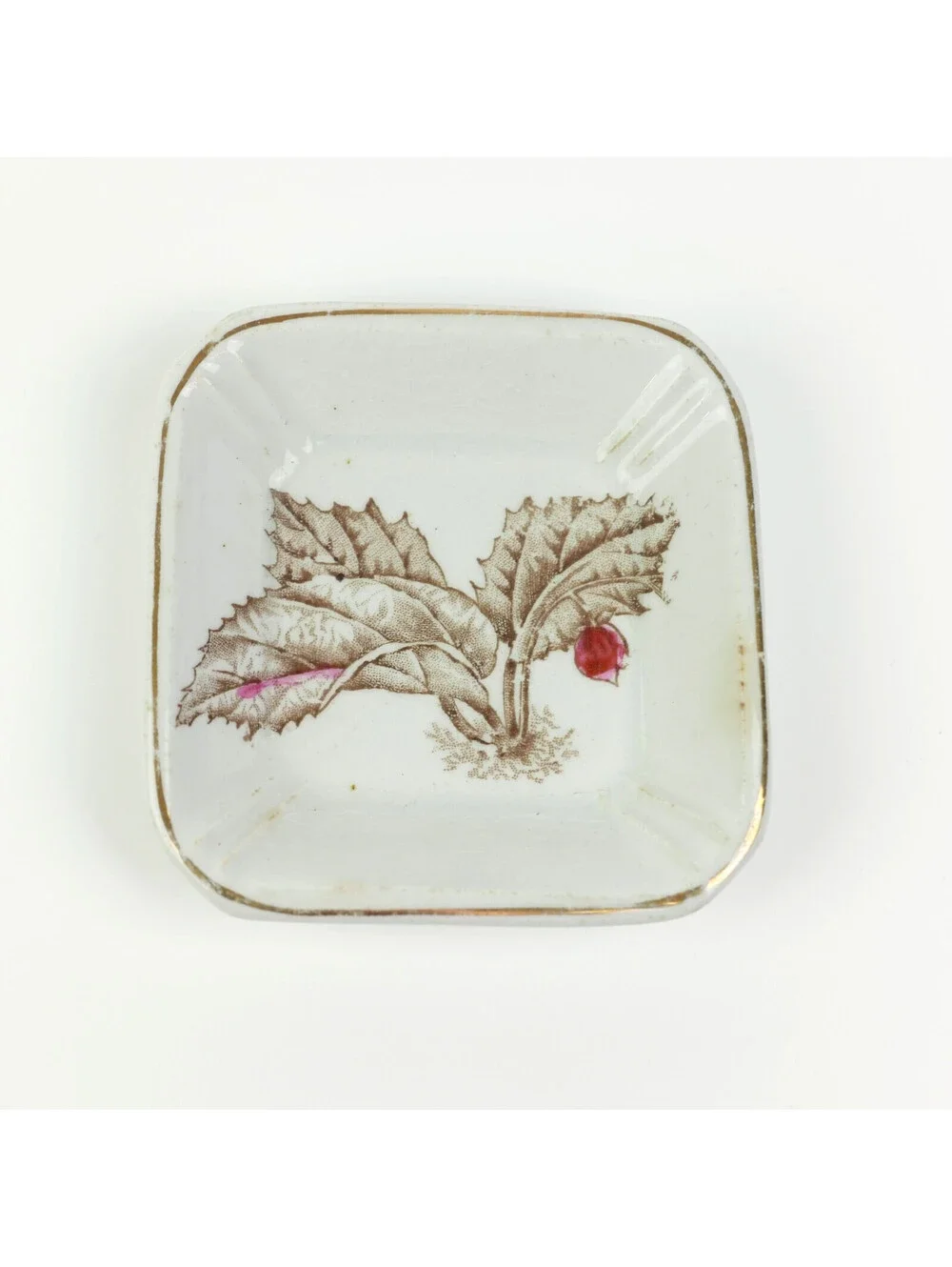 Antique Alfred Meakin Royal Ironstone Botanical Butter Pat Square Dish 1890s